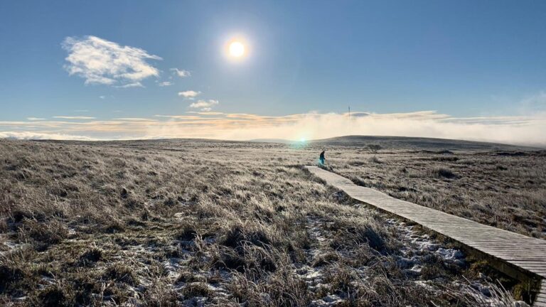 National Trust invests £6m in Belfast mountains