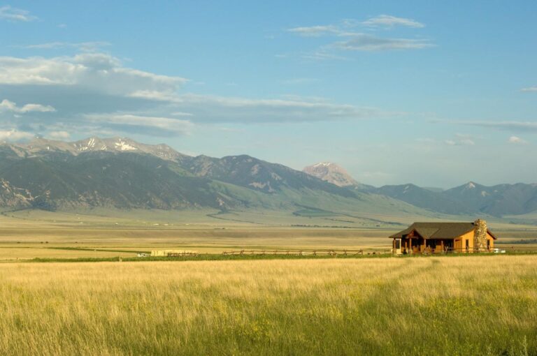 5 ways the U.S. investment agenda supports local small businesses