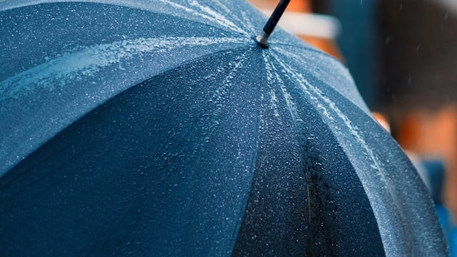 Will the next squatting potty or scrubbing daddy come from kids? 15-year-old entrepreneur signs two-person umbrella for $100,000 on ‘Shark Tank’