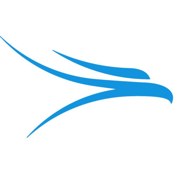 Digital Marketing Consultant – RadioInsight